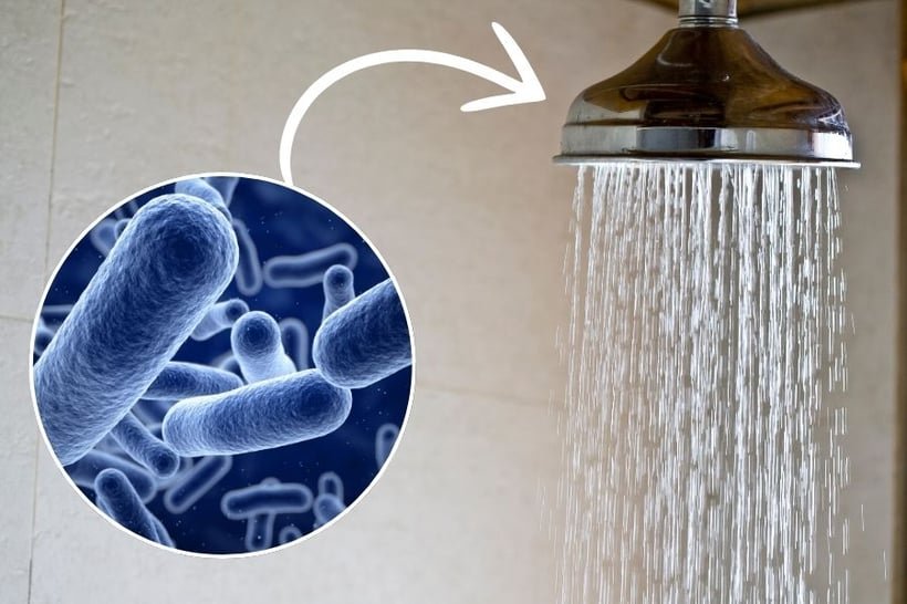 Close-up of bacteria next to a showerhead with running water.